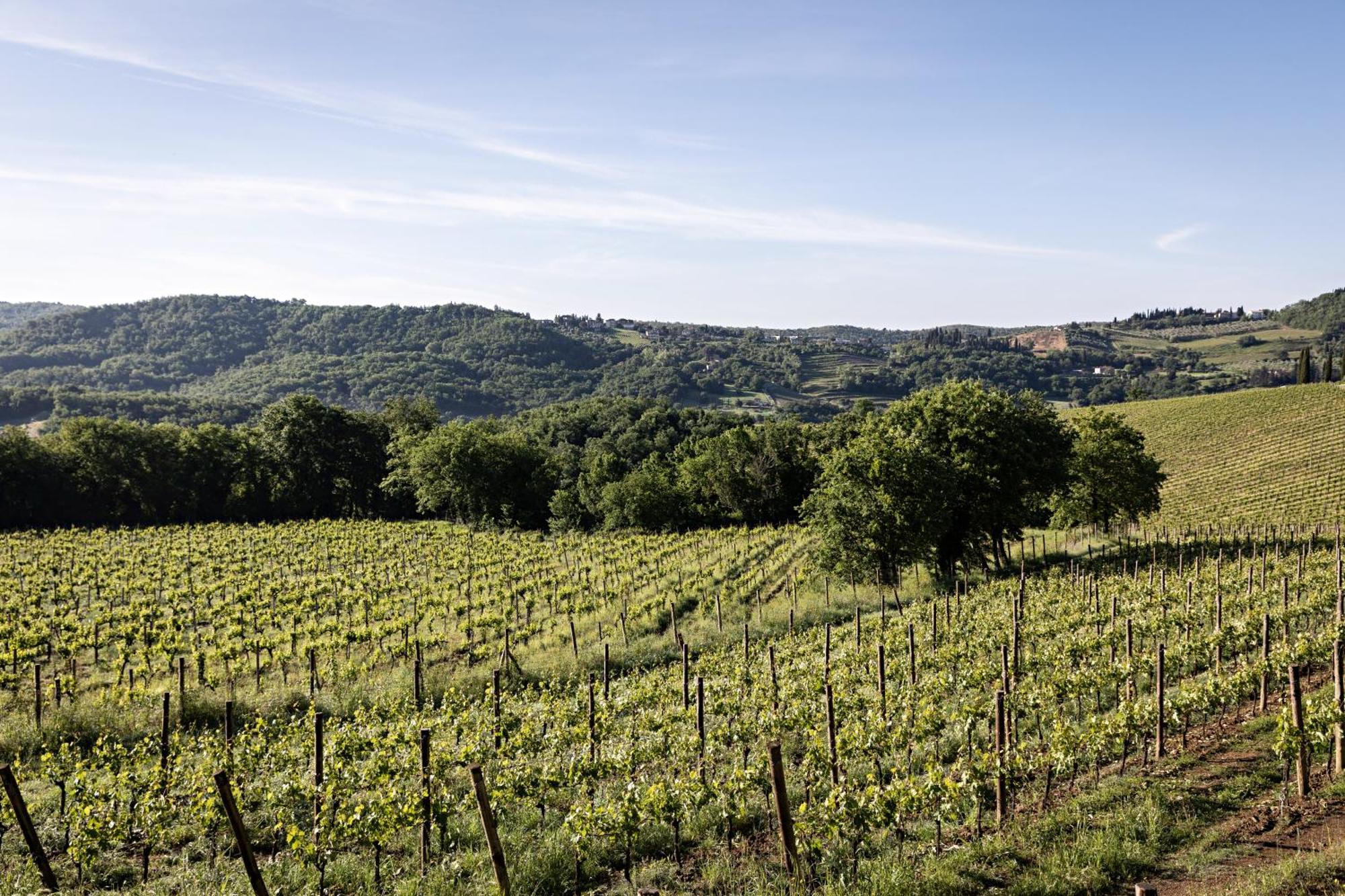 Pieve Aldina Relais & Chateaux Radda in Chianti Buitenkant foto